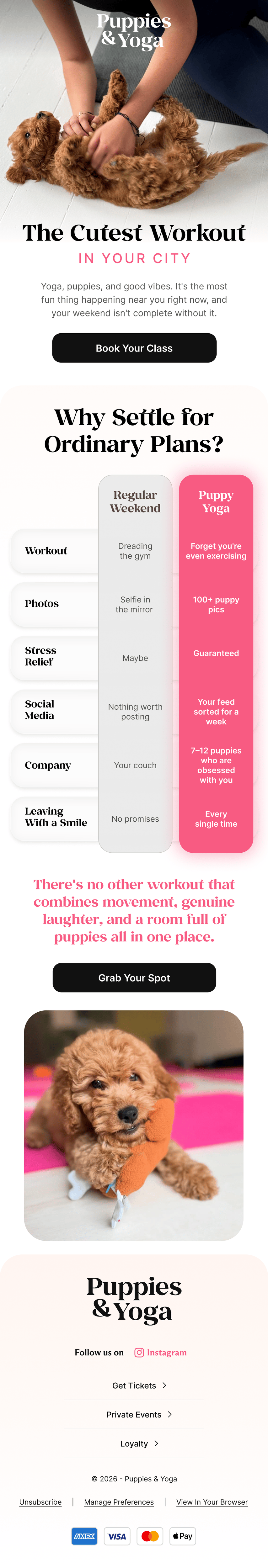 Product education email design example