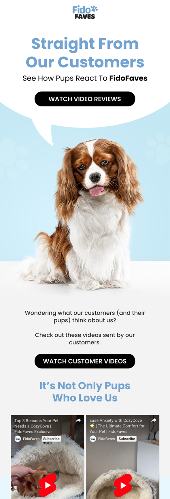 Customer review email design example